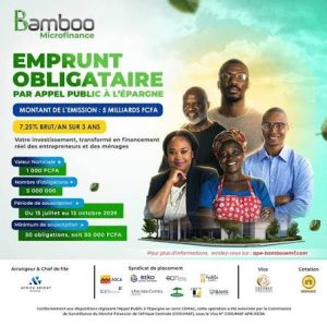 MICROFINANCE BAMBOO